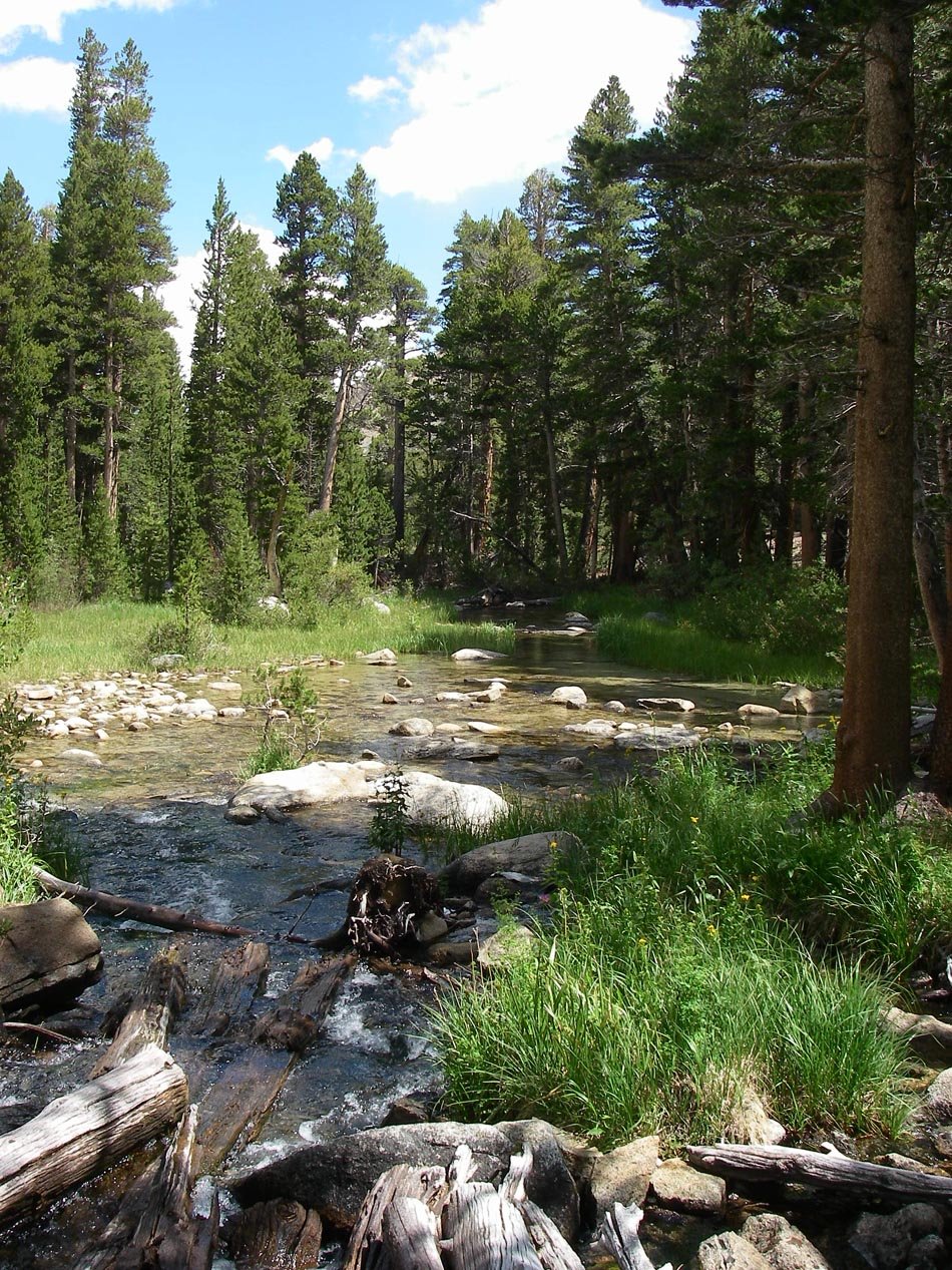 imgp0760.jpg