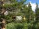 imgp0786_small.jpg