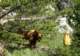 imgp0788_small.jpg