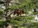 imgp0792_small.jpg