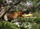 imgp0793_small.jpg