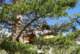 imgp0794_small.jpg