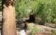imgp0798_small.jpg