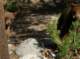 imgp0799_small.jpg