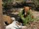 imgp0801_small.jpg