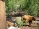 imgp0804_small.jpg