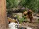 imgp0805_small.jpg