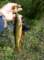 imgp0808_small.jpg
