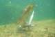 imgp0818_small.jpg