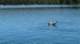 imgp0837_small.jpg