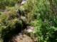 imgp0848_small.jpg