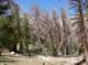 imgp0849_small.jpg