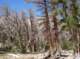 imgp0850_small.jpg