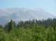 imgp0855_small.jpg