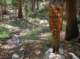 imgp0857_small.jpg