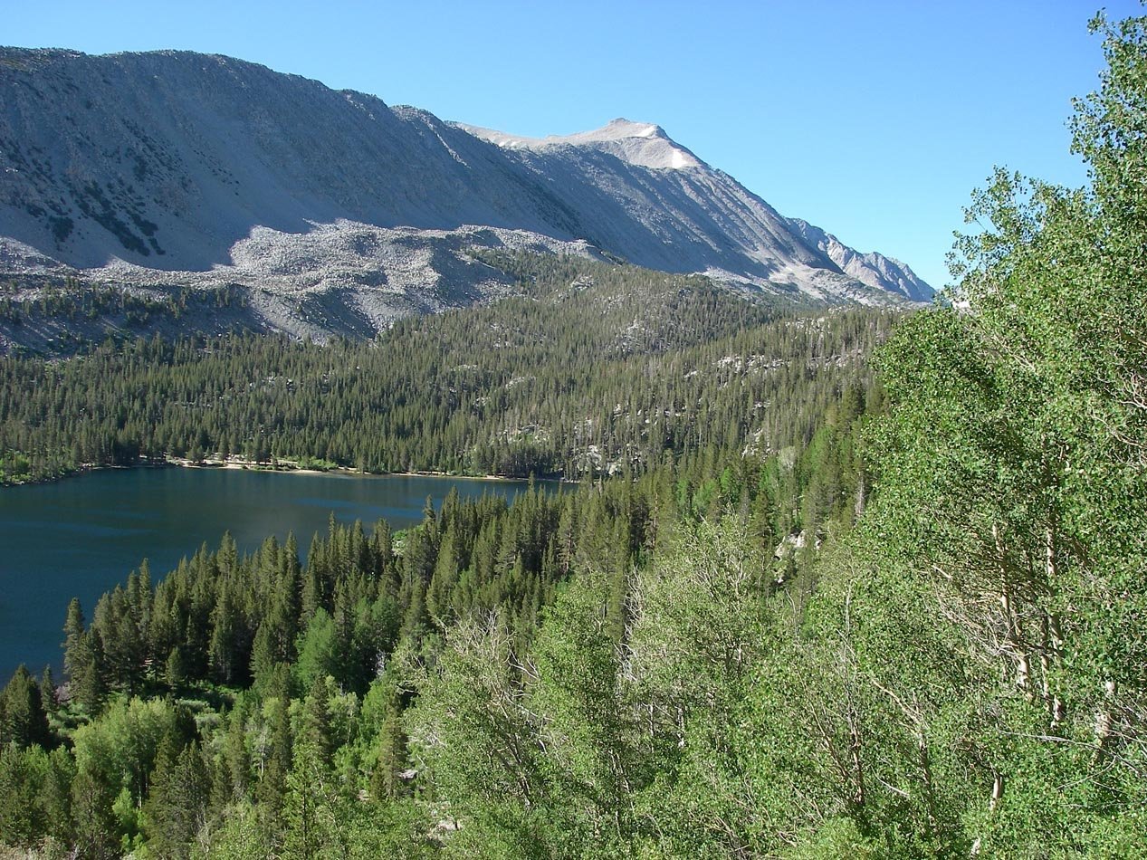 imgp0072.jpg