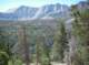 imgp0082_small.jpg