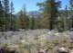 imgp0084_small.jpg