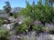 imgp0085_small.jpg