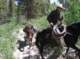 imgp0089_small.jpg