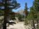 imgp0090_small.jpg