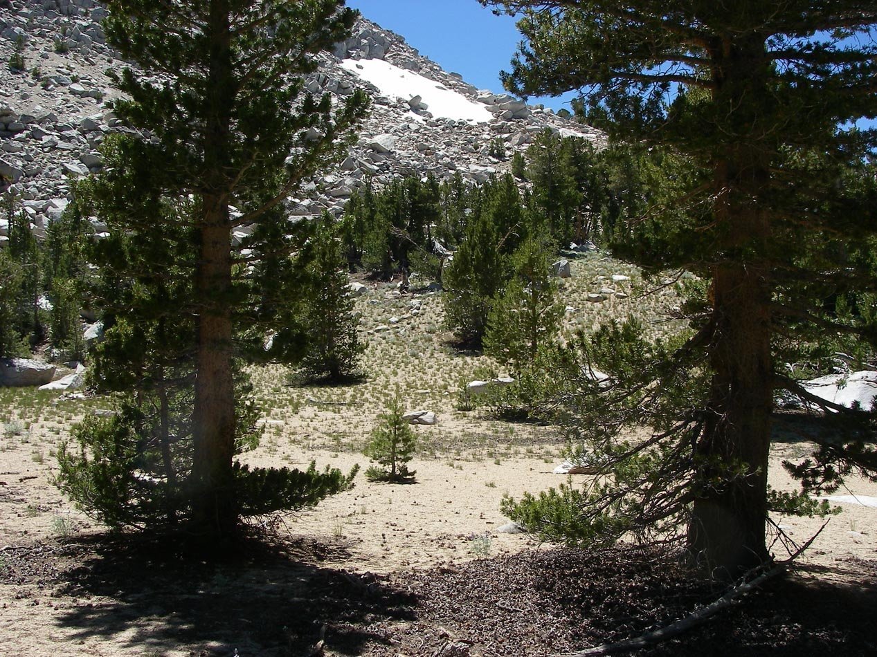 imgp0091.jpg