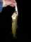 imgp0111_small.jpg