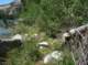 imgp0112_small.jpg