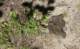 imgp0113_small.jpg