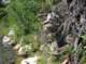 imgp0114_small.jpg