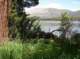imgp0115_small.jpg