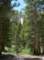 imgp0119_small.jpg