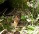imgp0123_small.jpg