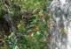 imgp0124_small.jpg