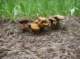 imgp0131_small.jpg