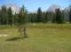 imgp0133_small.jpg