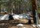 imgp0138_small.jpg