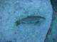 imgp0183_small.jpg