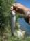 imgp0193_small.jpg