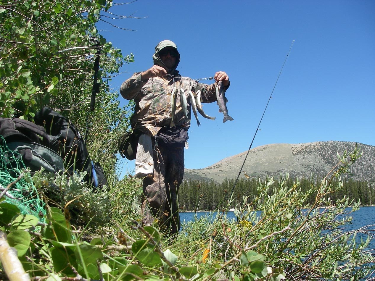 Mike Dufish caught this stringer of rainbow trout using a brown trout pattern Thomas Bouyant at Secret Brown Trout Lake in the High Sierra 7/15/2016