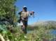 Mike Dufish caught this stringer of rainbow trout using a brown trout pattern Thomas Bouyant at Secret Brown Trout Lake in the High Sierra 7/15/2016
