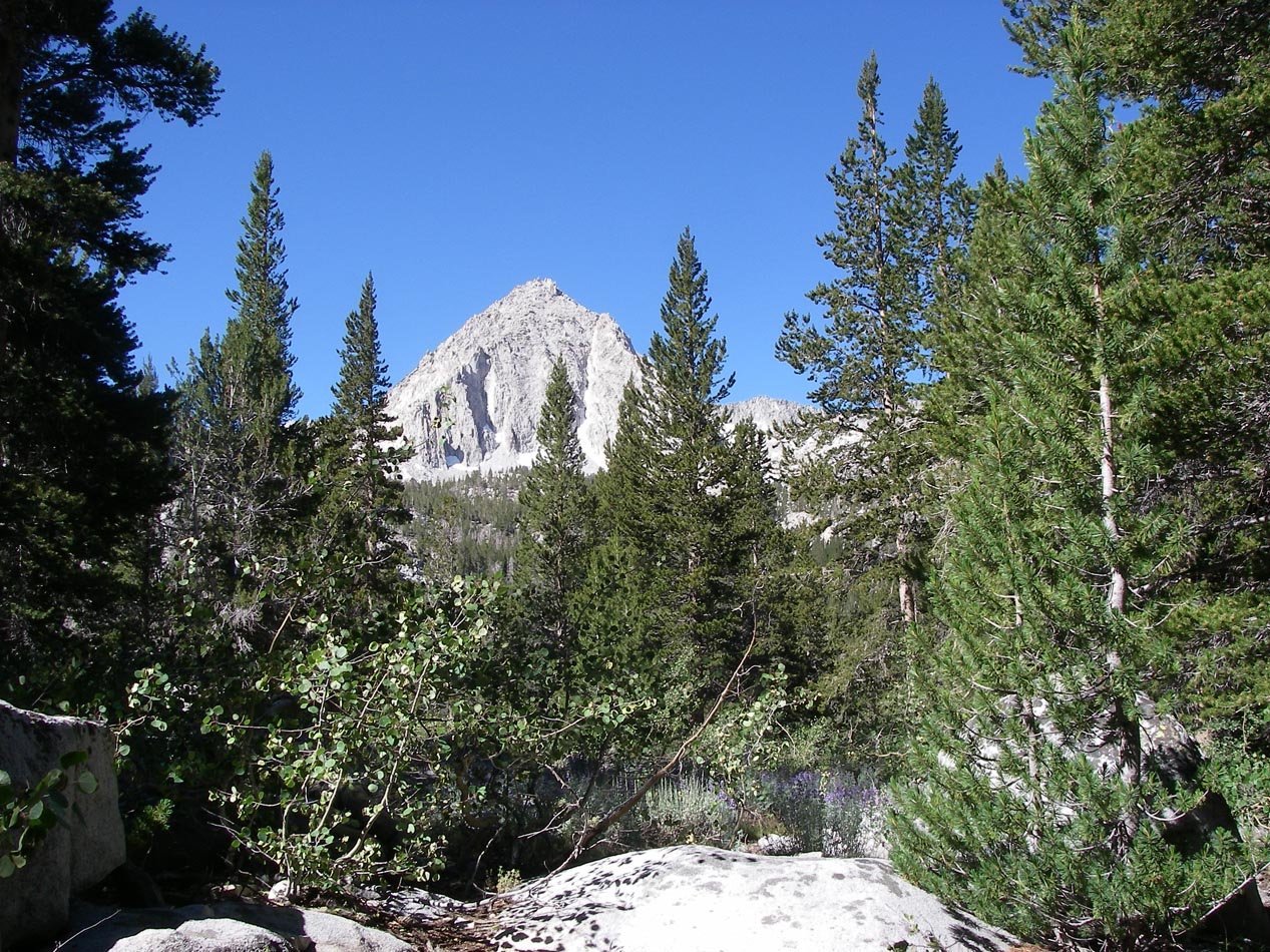 imgp0211.jpg