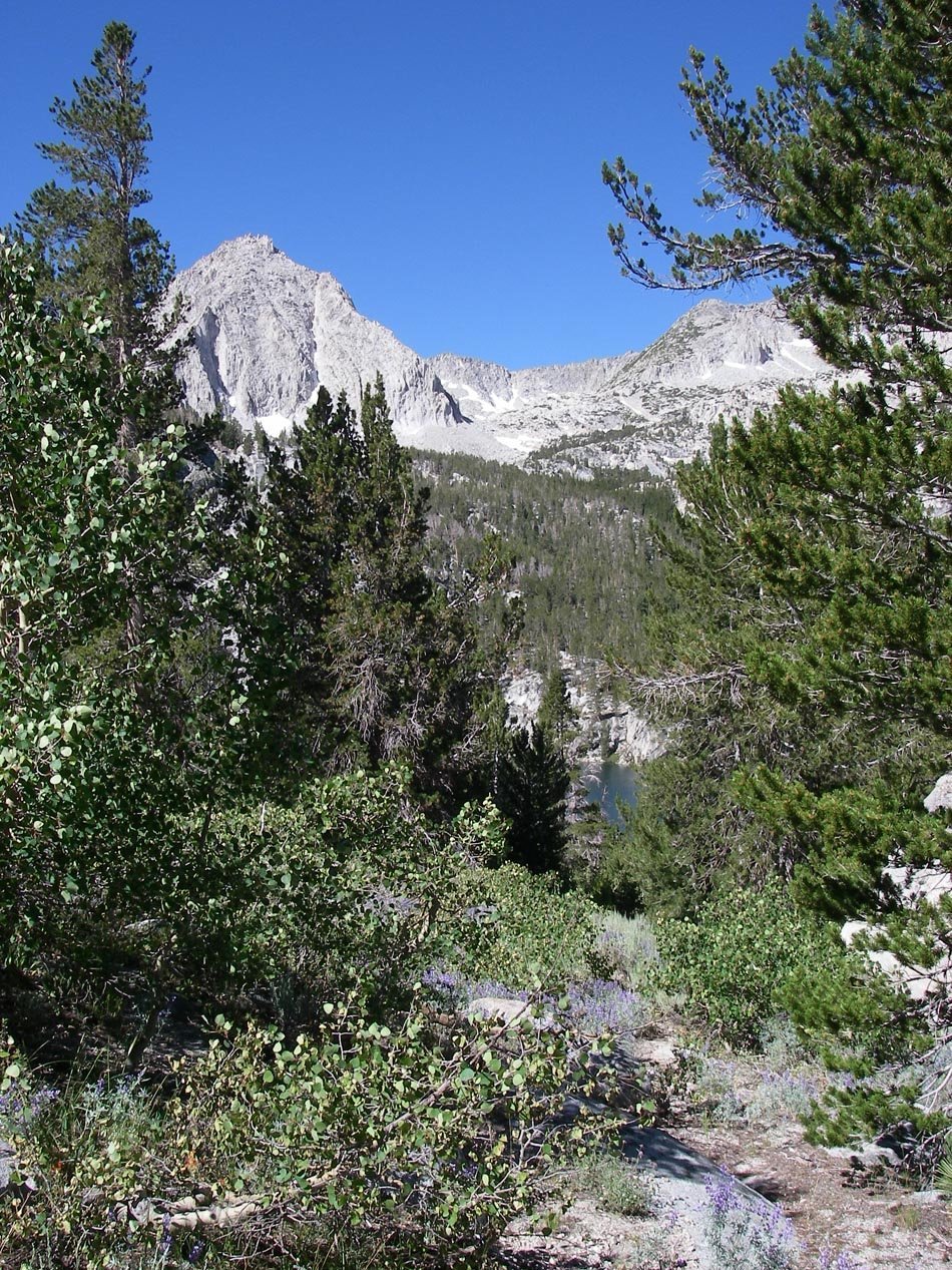 imgp0214.jpg