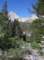imgp0214_small.jpg