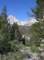 imgp0215_small.jpg