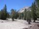 imgp0219_small.jpg
