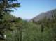 imgp0220_small.jpg