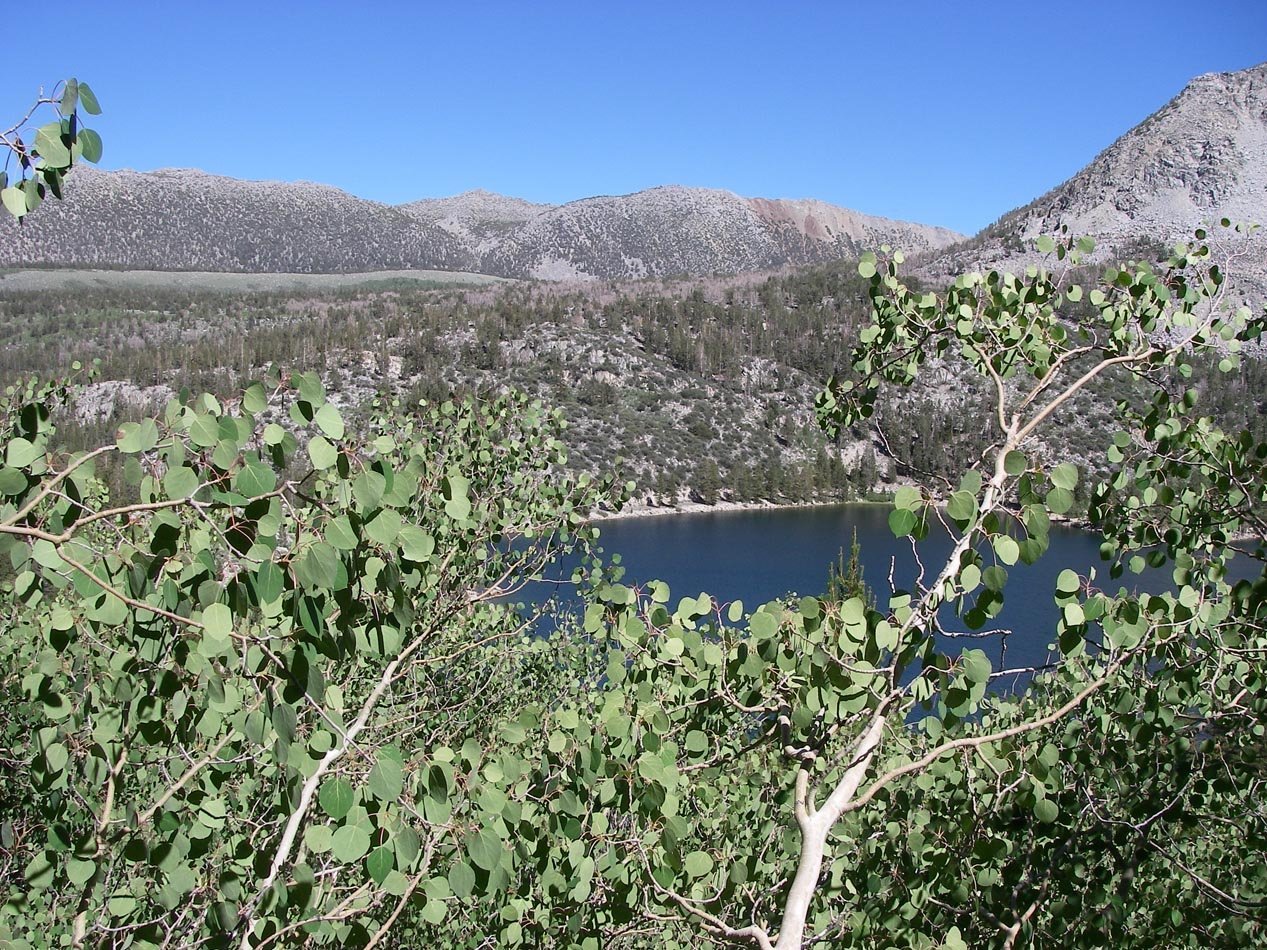 imgp0221.jpg