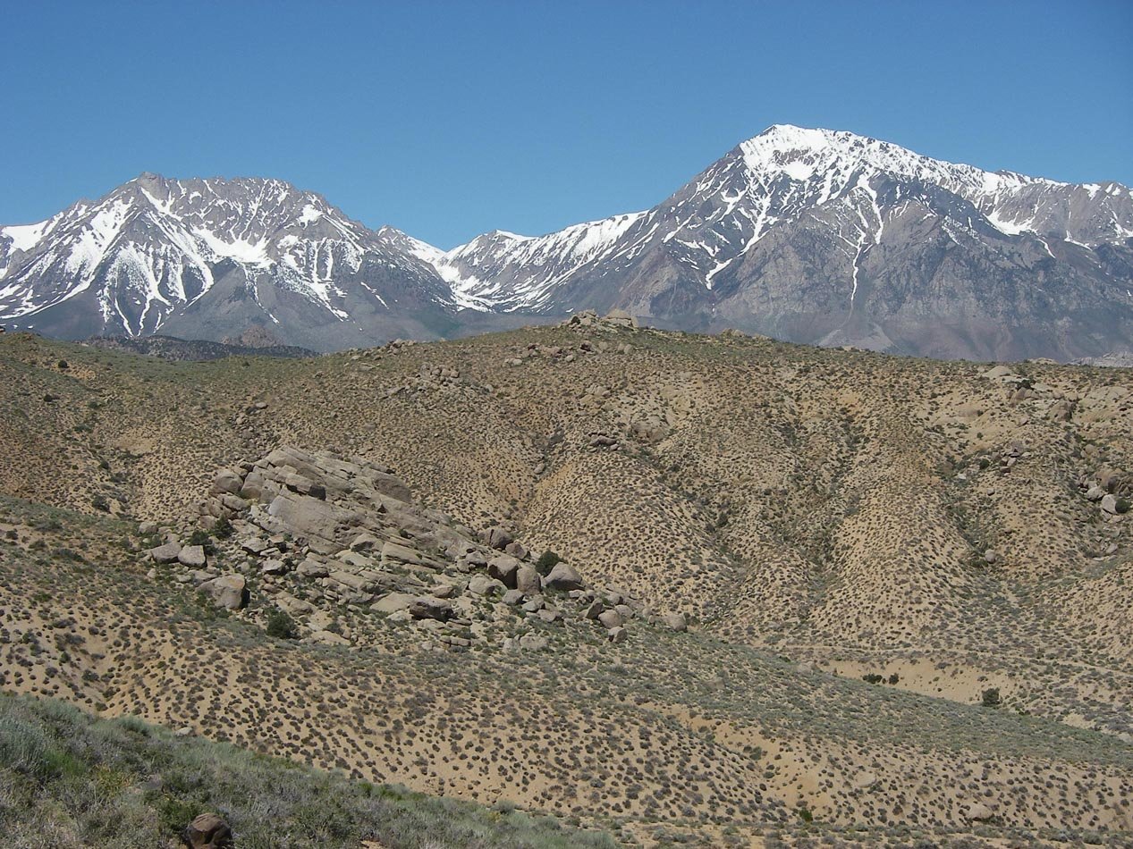 imgp0903.jpg