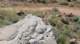 imgp0905_small.jpg